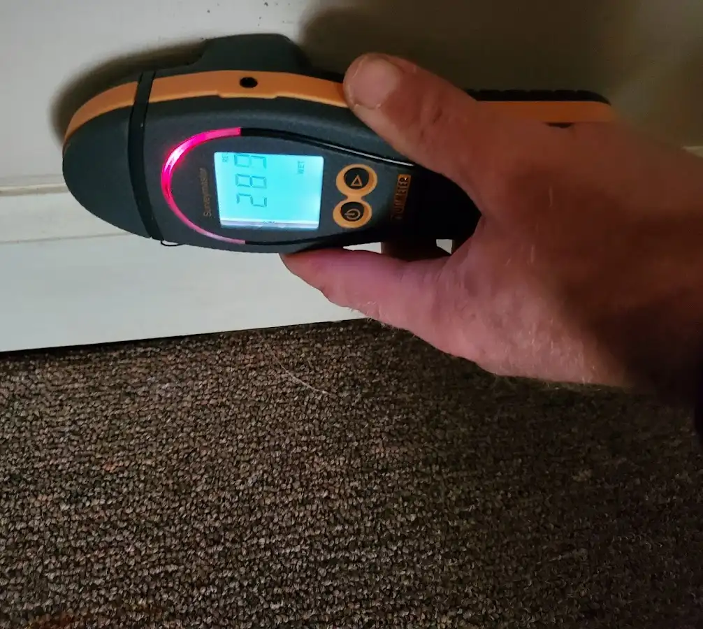 Moisture detection at baseboard during Mold Inspection & Testing in Haslet
